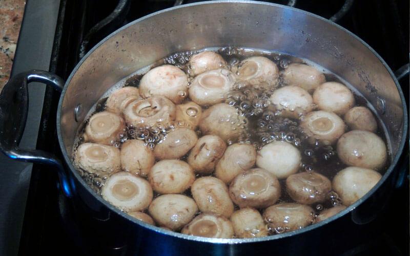 faire bouillir des champignons