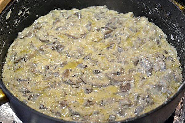 ragoût de poulet aux champignons