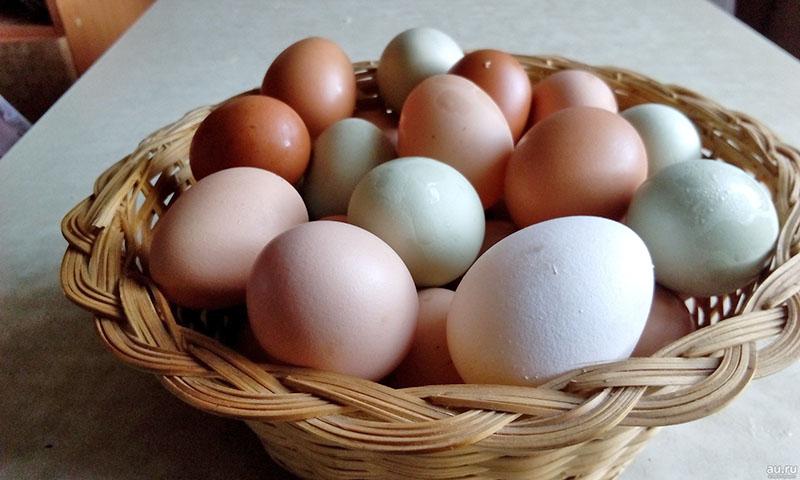 huevos caseros