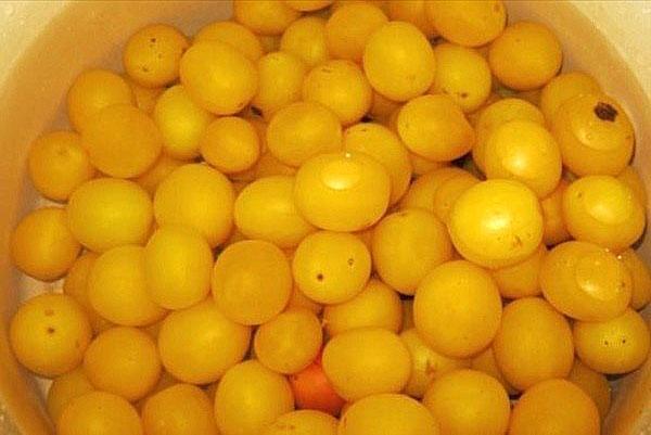 vierte la fruta con agua