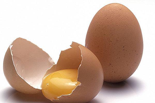 huevos de gallina frescos
