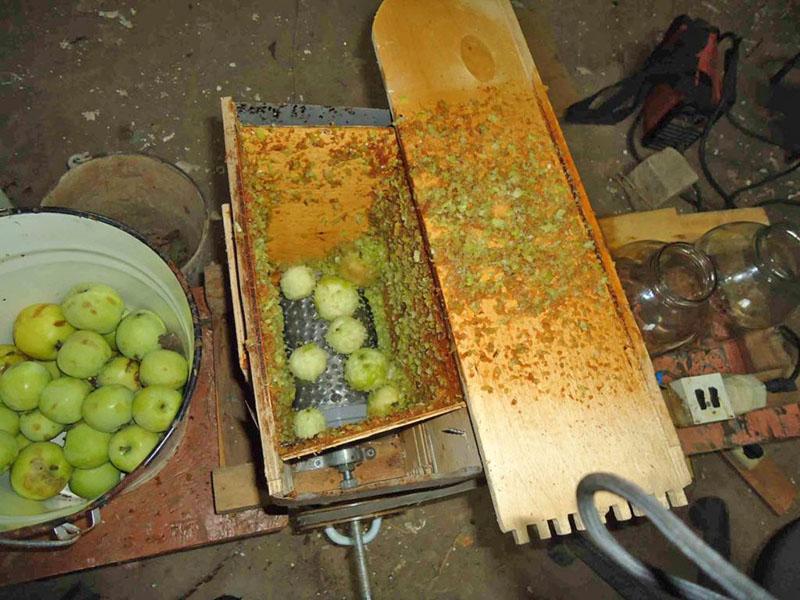 écraser des pommes pour le vin