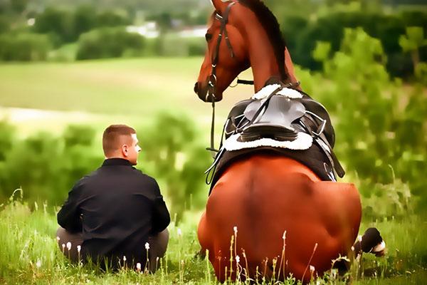 amitié entre l'homme et le cheval