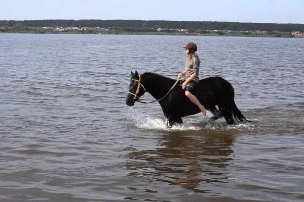 traitements de l'eau
