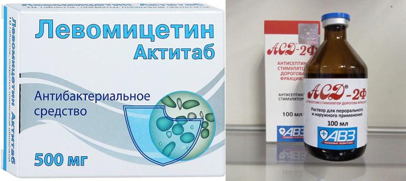 medicamentos para el tratamiento de pollos