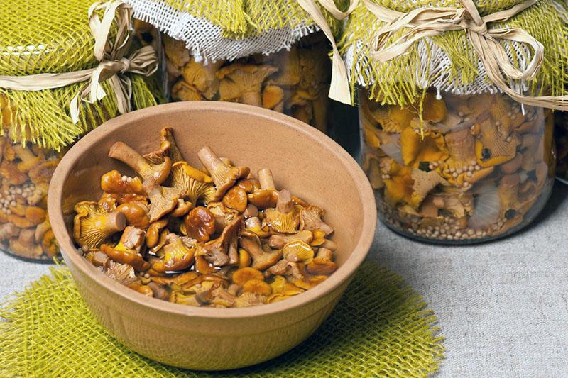 champignons marinés recettes pour la cuisson des girolles