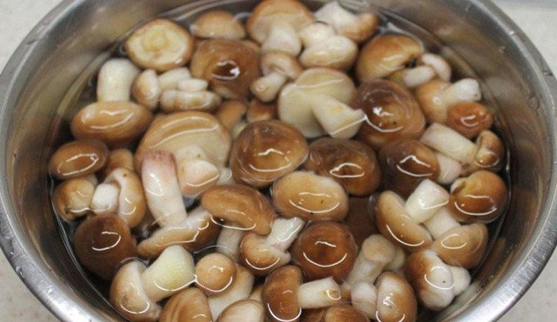 verser les champignons avec la marinade