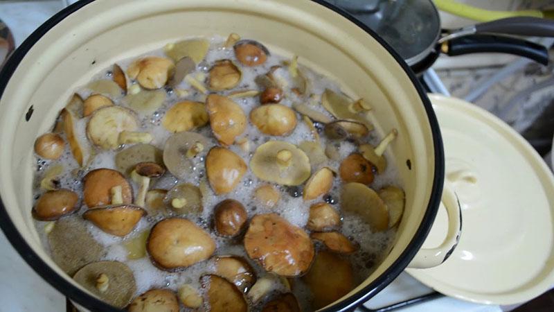faire bouillir les champignons dans la marinade