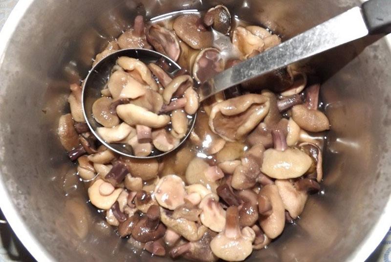 poner champiñones en frascos