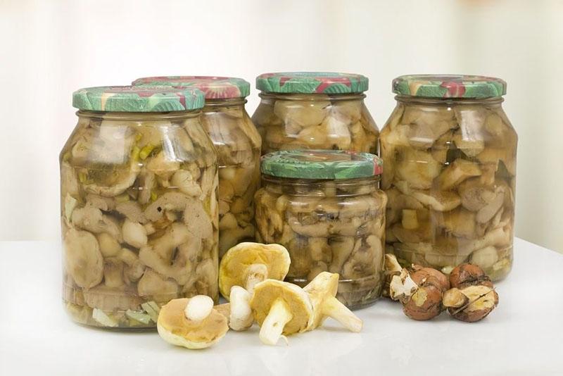 champiñones en escabeche en frascos