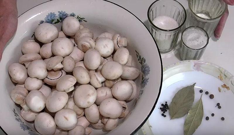 ingrédients pour mariner les champignons