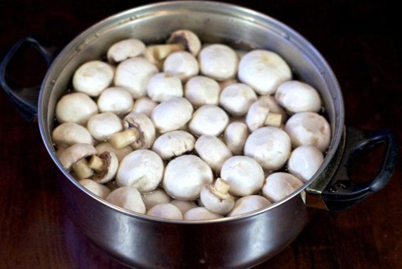 faire bouillir des champignons