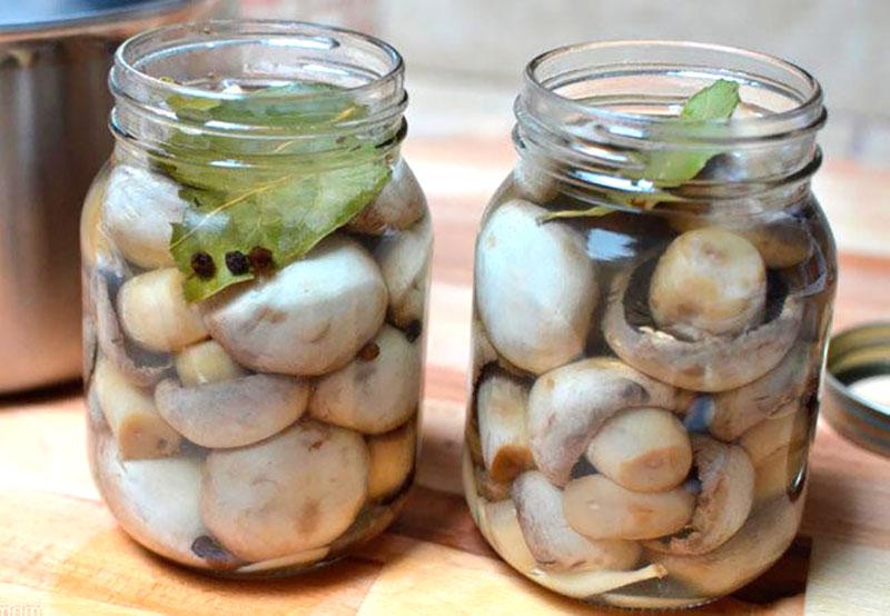 poner champiñones en frascos
