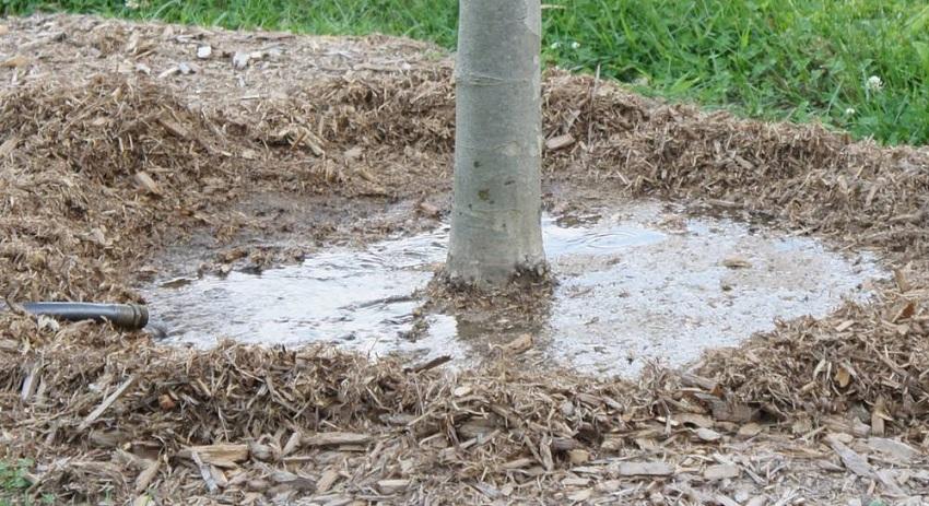 Irrigation à charge d'humidité