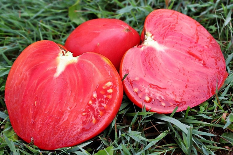 gros fruits charnus