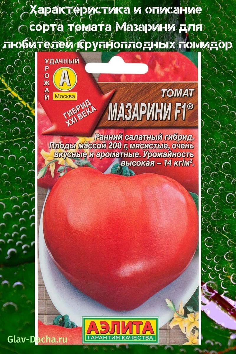 description de la variété de tomate Mazarin