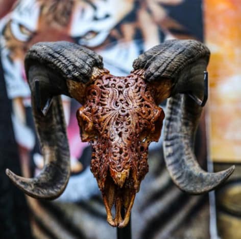 Stammes-Big Horned