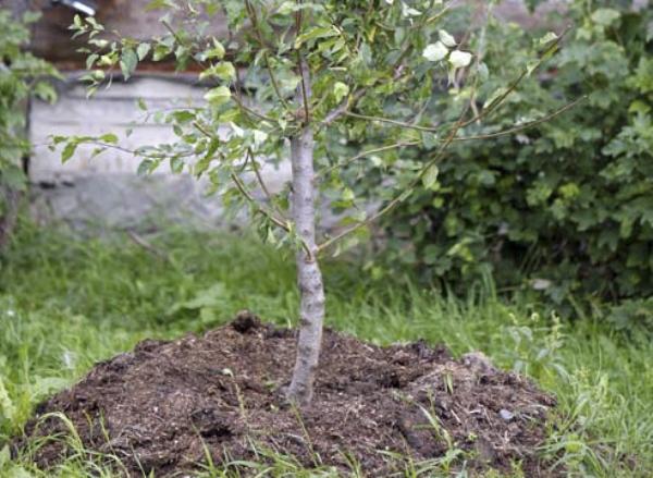 Travail d'automne à la campagne