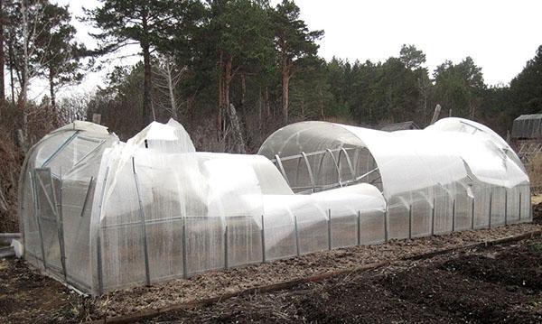 preparando el invernadero para la nueva temporada