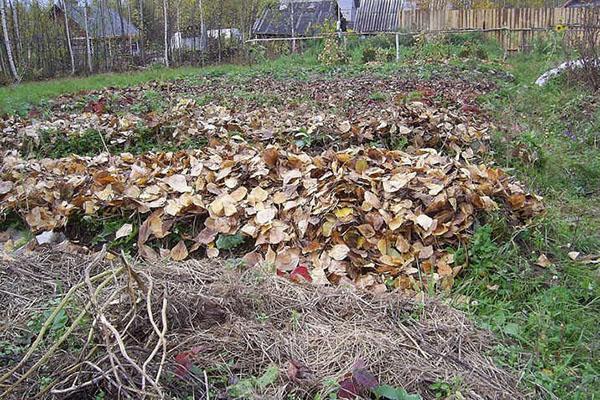 preparando las camas para el frio