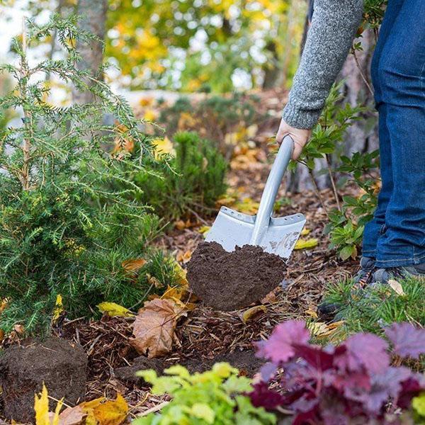 planter des semis