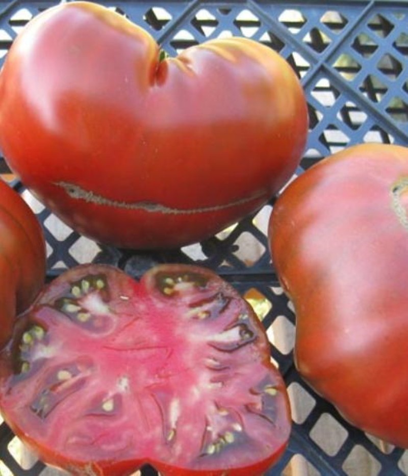 Frutas variedades de tomate estrella de siberia.