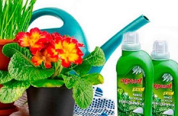 fertilizantes florales