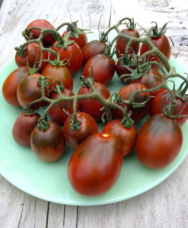 bienfaits des tomates des landes noires