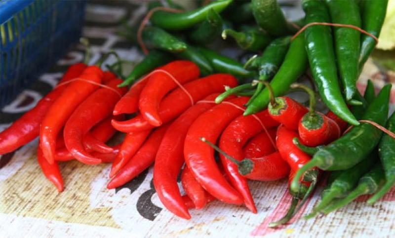 beneficios y daños del pimiento amargo