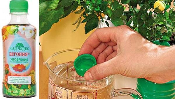top dressing de baume pour une floraison luxuriante