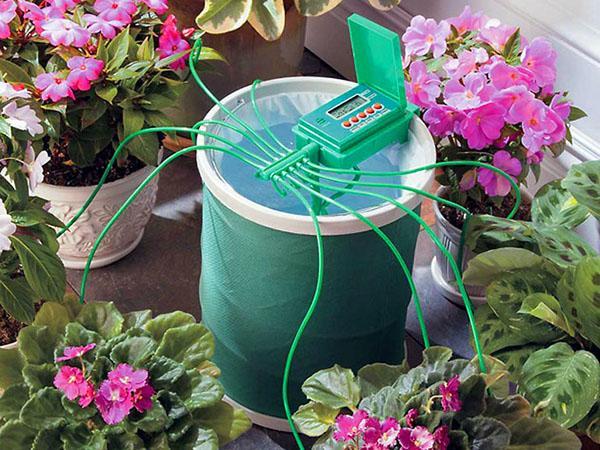 arrosage automatique des fleurs
