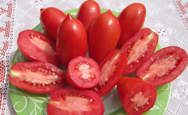 tomate fruit le miracle du paresseux