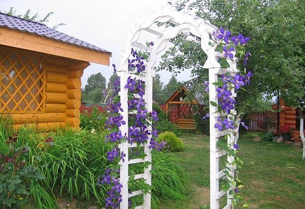 pergola en plastique dans le jardin