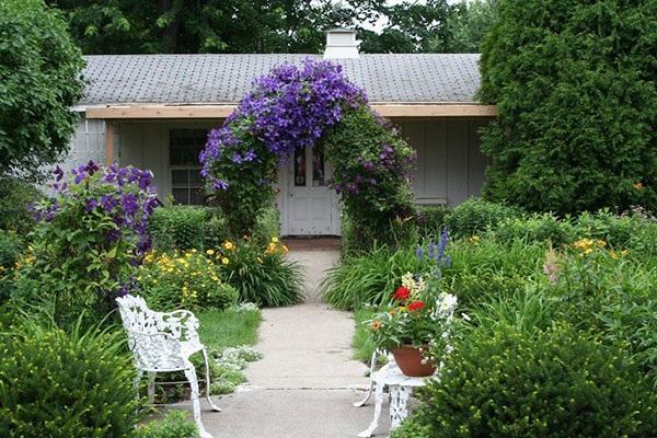 arche de jardin pour clématite