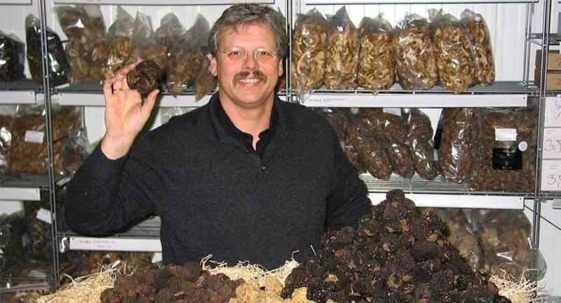 cultivo de trufas en invernadero