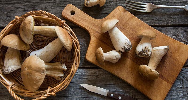 preparar hongos porcini