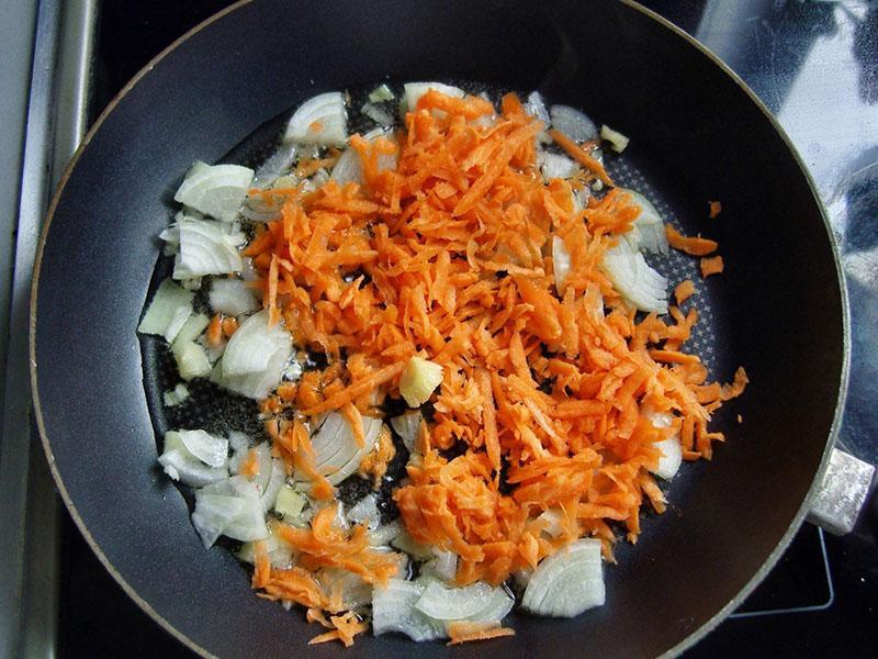 guiso de zanahorias y cebollas