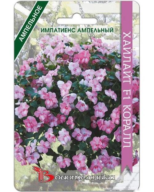 impatiens corail