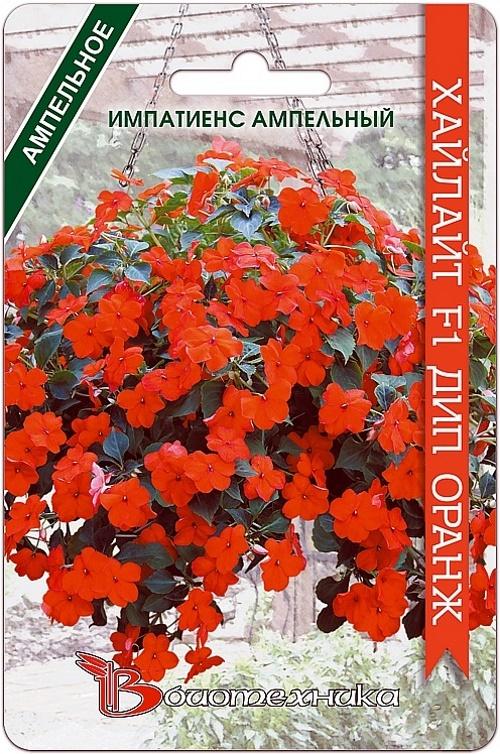 impatiens orange foncé