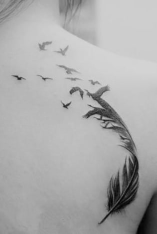 Vogel5