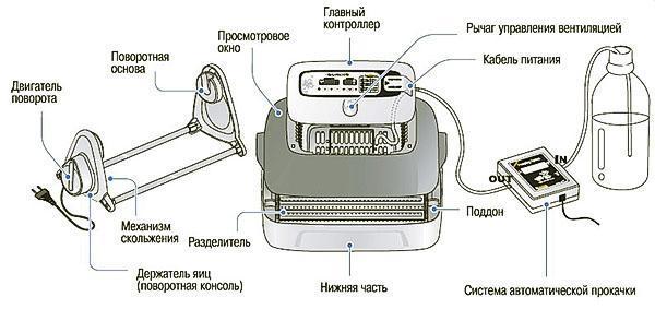 dispositivo incubadora