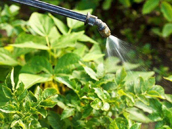 tratamiento de plantas con alatar