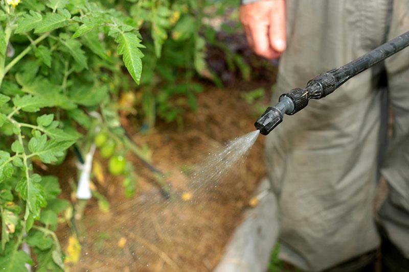 uso de chispa de insecticida