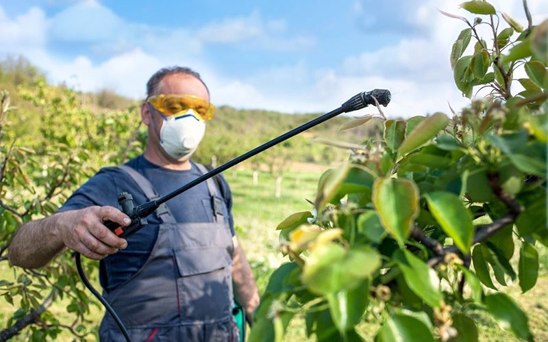 des mesures de précaution