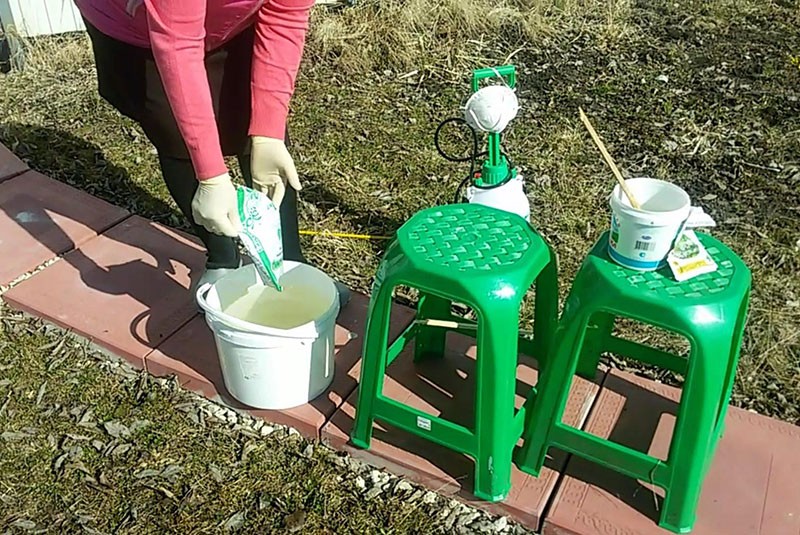 preparación de la solución de trabajo