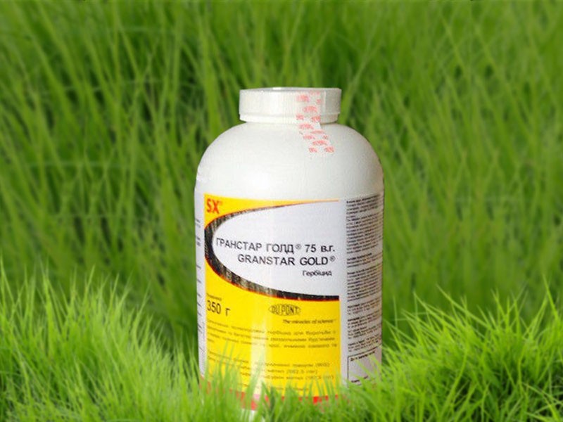 ingrediente activo del herbicida Granstar - tribenurón-metilo