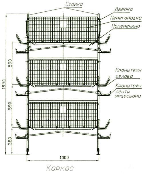 dimensions et détails de la cage