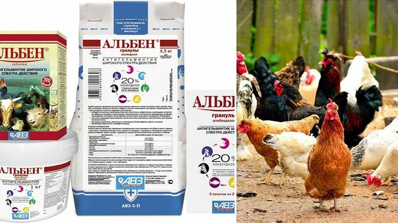 mode d'emploi d'alben pour poulets