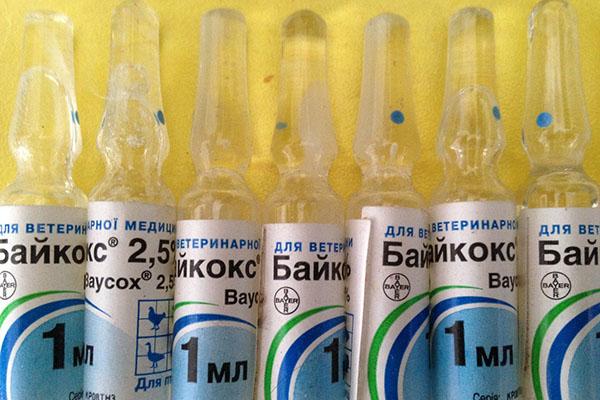 baikoks de medicamentos veterinarios