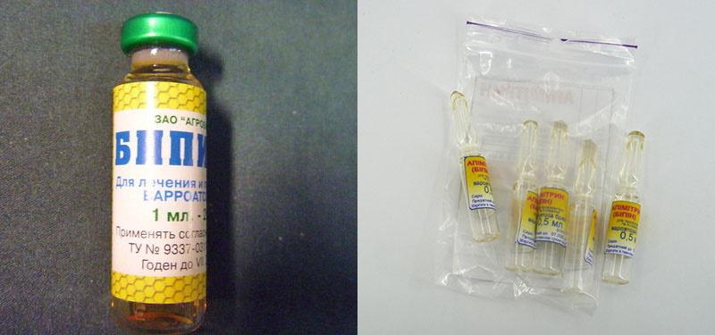 Instructions Beepin pour les abeilles